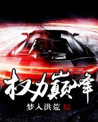 权力巅峰免费阅官途读全文