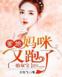 双宝胎找爹地妈咪是正规的吗