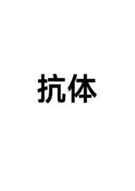 抗体简称