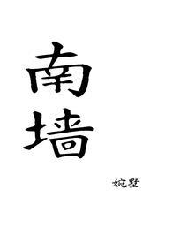 南墙popo