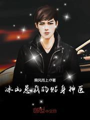 冰山总裁的贴身神医TXT免费