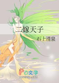 二嫁免费阅读
