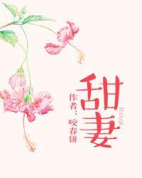 甜妻有喜长官