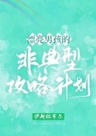 漂亮男孩的非典型攻略笔趣阁