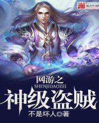 网游之盗贼