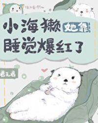 小海獭她靠睡觉爆红了35