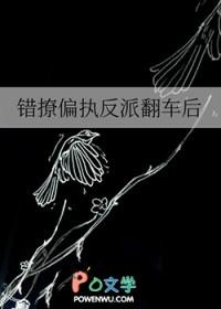 错撩偏执男主后我甩不掉了全文
