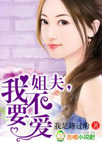 姐夫我不要