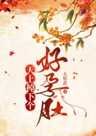 天上掉下个ufo完整版在线播放