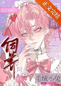 毛绒小白兔