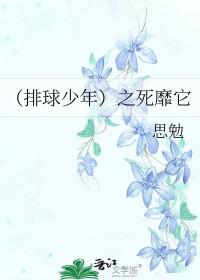 排球少年!!