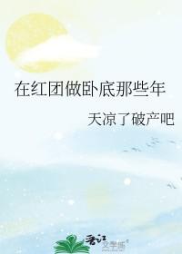海贼王红发团