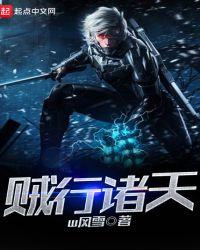 贼行天下免费听书