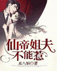 仙帝姐夫惹不起
