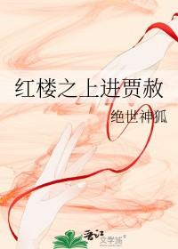 红楼之贾赦归来作者苍白少女