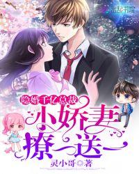 隐婚蜜爱总裁的小甜妻