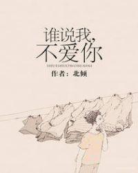 谁说我不爱你TXT