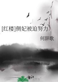 侧妃谋