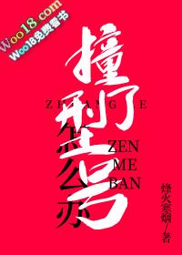 撞了型号怎么办全文免费阅读
