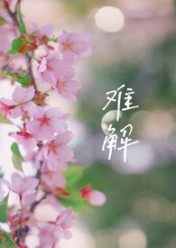 难解什么什么