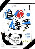 追个锤子by关尼尼讲的什么
