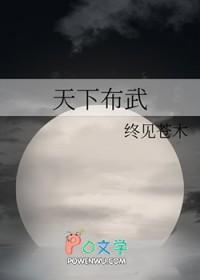 布武天下