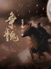 争魏 虎溪