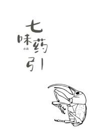 七味指哪些
