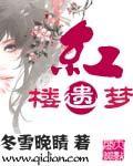 新红楼遗梦