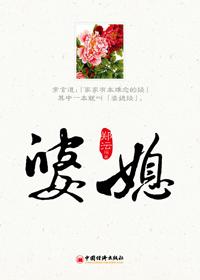 婆媳间的那些事电视剧