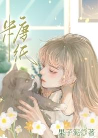 糖纸作品