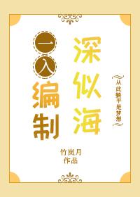 一入编制深似海TXT