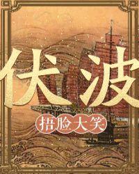 伏波娃是谁