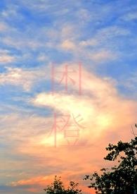 困城出轨许飒蔺观川结局