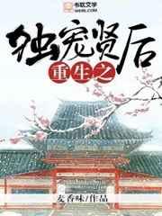 重生之独宠贤后?