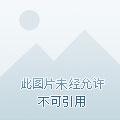 全民领主我的天赋亿点强