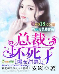 宠妻zc总裁坏透了