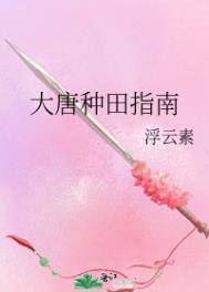 大唐种田升级系统李玄霸