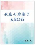 我在七零娶了大BOSS 作者小胖柑