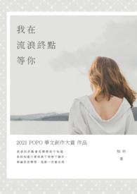 在我流浪他乡的歌