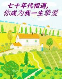七十年代携手一生完整版阅读