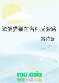 猫猫笨蛋表情包