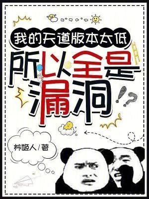 所以全是漏洞无弹窗笔趣阁