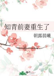 重生知青后悔
