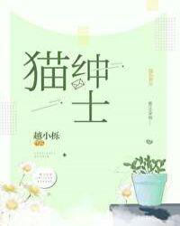 猫绅士为什么看不了