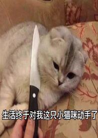 新欢不止(n)作者爱拌饭