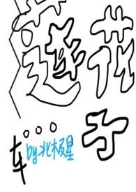 莲花里面的莲子