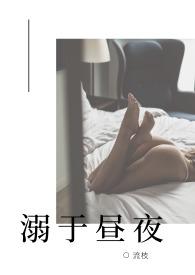 溺于昼夜(NP)小
