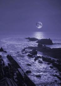 暗夜番外