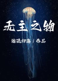 无主之物电视剧免费观看